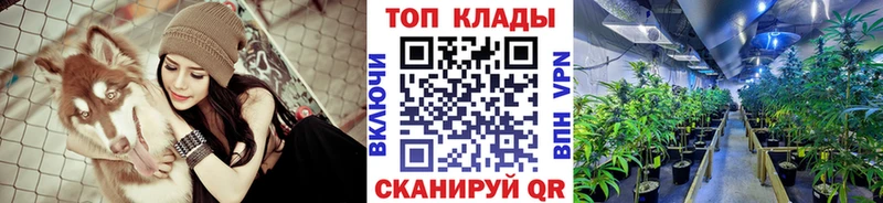 Купить закладку Сургут Cocaine  Меф мяу мяу  СОЛЬ  Гашиш 
