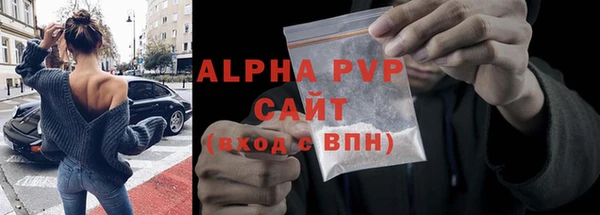 PSILOCYBIN Корсаков