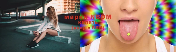 PSILOCYBIN Корсаков