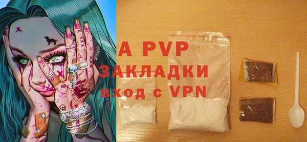 PSILOCYBIN Корсаков
