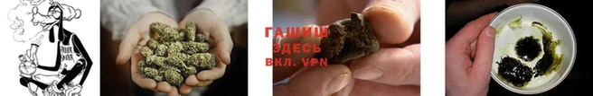 PSILOCYBIN Корсаков